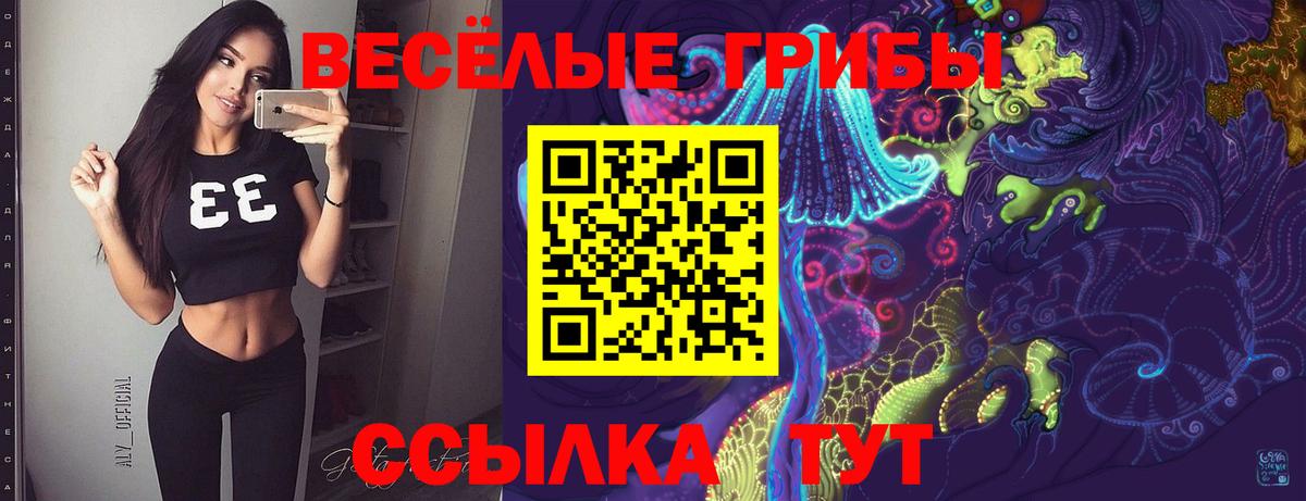 Псилоцибиновые грибы мицелий  Вход с VPN  Псилоцибиновые грибы GOLDEN TEACHER  Нефтекумск 